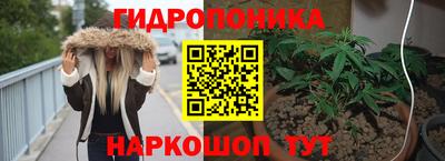 a pvp Кандалакша