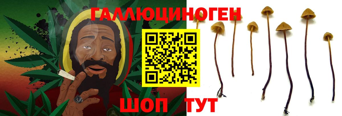 Галлюциногенные грибы GOLDEN TEACHER  Галлюциногенные грибы мицелий  Вход с VPN  Краснодар 